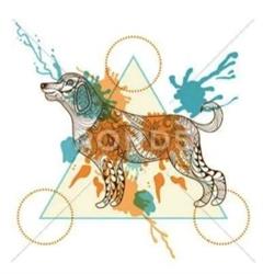 Centro Cinofilo Evolution Dog asd Quarto