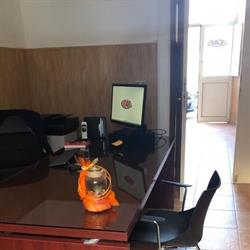 Caf Catalano