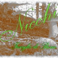 Nicchi funghi di bosco snc