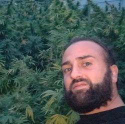 Legal Joint - Canapa del Principato