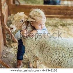 Agrizoo casa