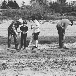Azienda Agricola i3tre