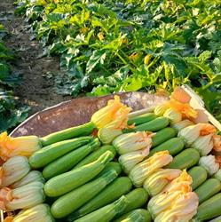 La Frutteria Boutique de frutas