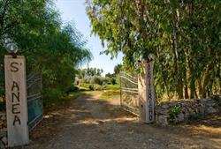 Agriturismo S'Anea