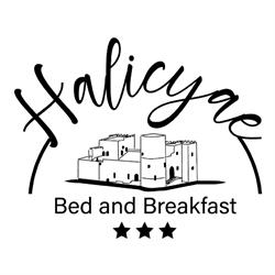 Halicyae