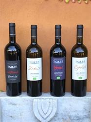 Tenuta Pagliarozza