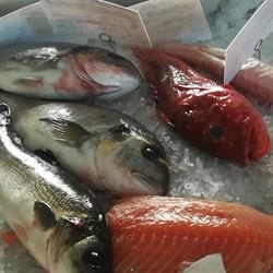 Pescheria Roma