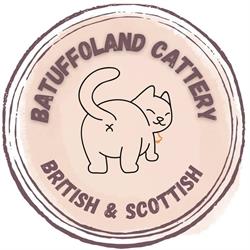 Batuffoland British&Scottish Cattery
