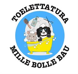 Mille Bolle Bau Cervignano