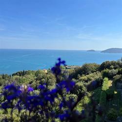 IL MARE BLU