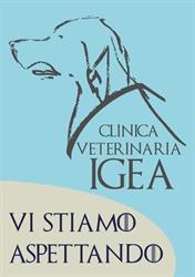 Clinica Veterinaria Igea