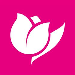 Il Tulipano (Rovigo)