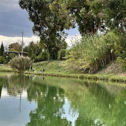 LAGO CEDRI