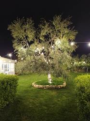 Il Giardino Delle Luci