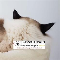 Il passo felpato