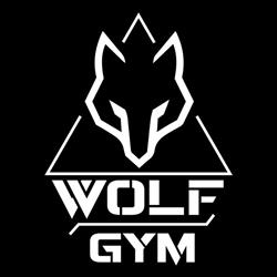 Wolf Gym Rende