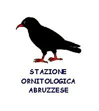 Stazione Ornitologica Abruzzese ONLUS