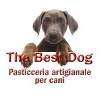 Thebestdog