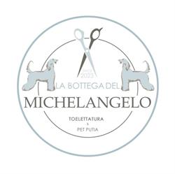 La bottega del Michelangelo