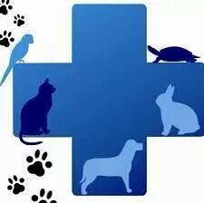 Ambulatorio Veterinario 'Pegaso' Dott. Di Maria Salvatore