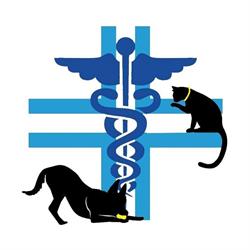 Ambulatorio veterinario Le Isole