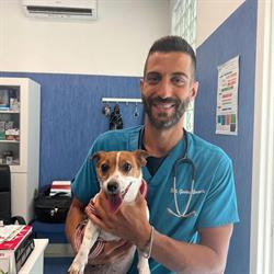 Centro Veterinario Pio Decimo