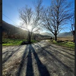 Antiche terre - Green factory
