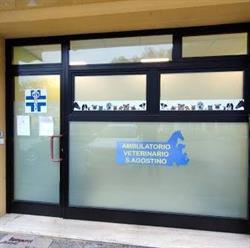 Veterinario Ambulatorio Vicenza Sant'Agostino
