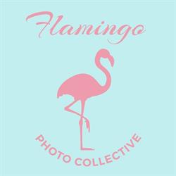 Flamingo Photo Collective