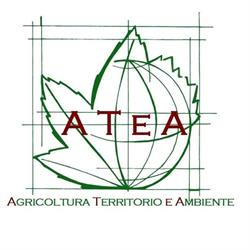 ATeA