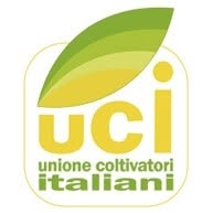 Uci Zonale Torino Madonna di Campagna
