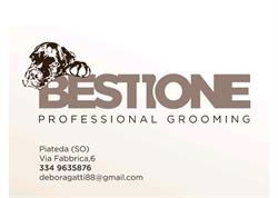 Best1one professional grooming