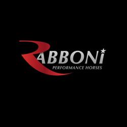 Rabboni Performance Horses