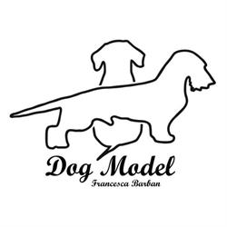 DOG MODEL