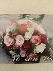 Se Son Rose.