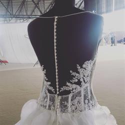 B&G SPOSA