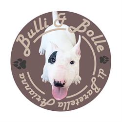 Bulli&Bolle di Baretella Arianna