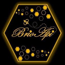 BrioApi