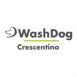 Wash Dog