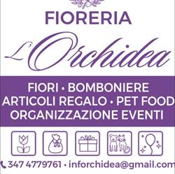 L'Orchidea