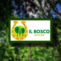 IL BOSCO APSSD