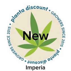 Planta Discount Imperia