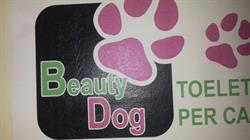 Beauty Dog