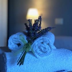 B&B MacchiaTimone