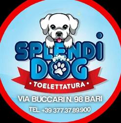 Splendidog Bari