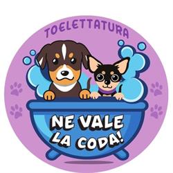 NE VALE La CODA