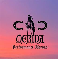 ASD Merida Performance Horses