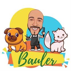 Bauler