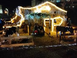 Exodus Apulia