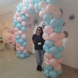La casa del party